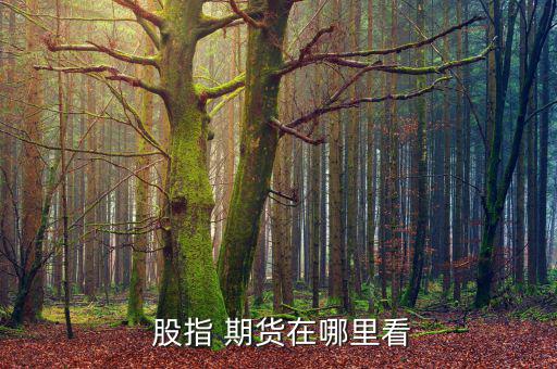 怎么查股指期貨,股指期貨是期貨一種分為兩類(lèi)