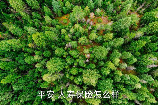 安達人壽保險怎么樣,人壽保險分類:1.7、風險保障型壽保