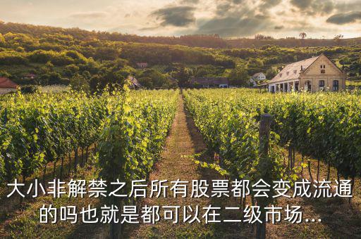 大小非解禁之后所有股票都會(huì)變成流通的嗎也就是都可以在二級市場...