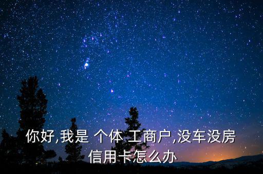 你好,我是 個(gè)體 工商戶,沒(méi)車沒(méi)房 信用卡怎么辦