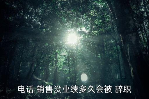 電話(huà) 銷(xiāo)售沒(méi)業(yè)績(jī)多久會(huì)被 辭職