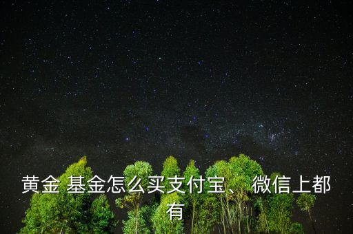 黃金 基金怎么買支付寶、 微信上都有