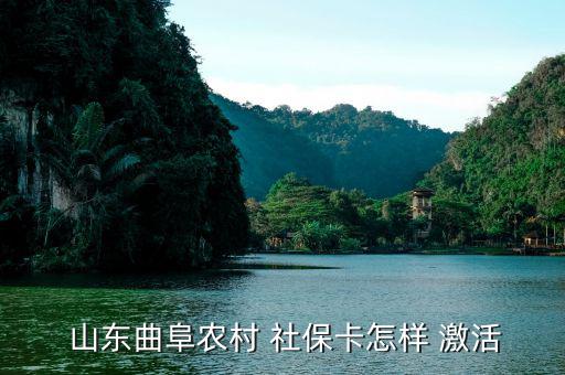 山東社?？ㄔ趺醇せ?如何領取和激活社?？?