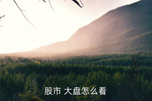 股市 大盤(pán)怎么看