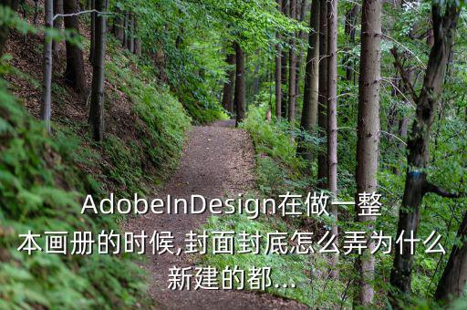 AdobeInDesign在做一整本畫(huà)冊(cè)的時(shí)候,封面封底怎么弄為什么新建的都...