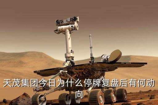 天茂集團什么時候開盤，天茂集團今日為什么停牌復(fù)盤后有何動向