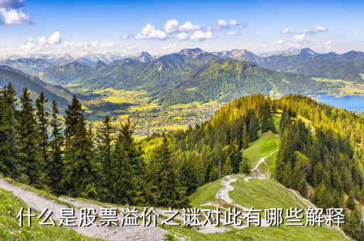 股票溢價(jià)是什么意思，什么是股票溢價(jià)之謎對(duì)此有哪些解釋