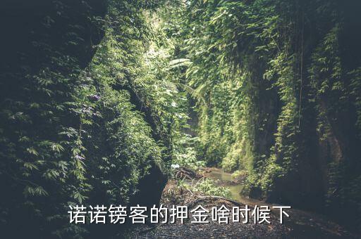 諾諾鎊客里的收本金額是什么，諾諾鎊客的押金啥時(shí)候下