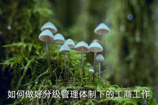 什么是分層分級管理，如何做好分級管理體制下的工商工作