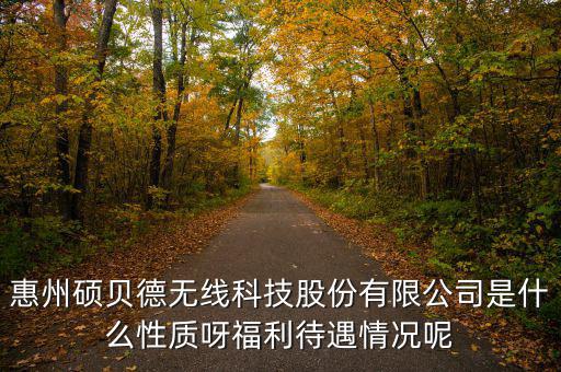 惠州碩貝德無線科技股份有限公司是什么性質呀福利待遇情況呢