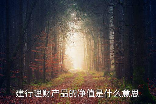 凈值類(lèi)理財(cái)產(chǎn)品什么意思，什么是凈值型理財(cái)產(chǎn)品