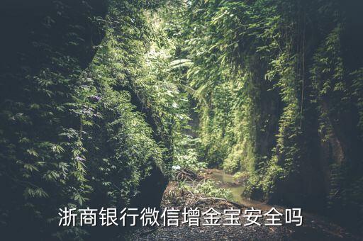 浙商銀行增金寶什么情況，浙商銀行增金寶安全嗎