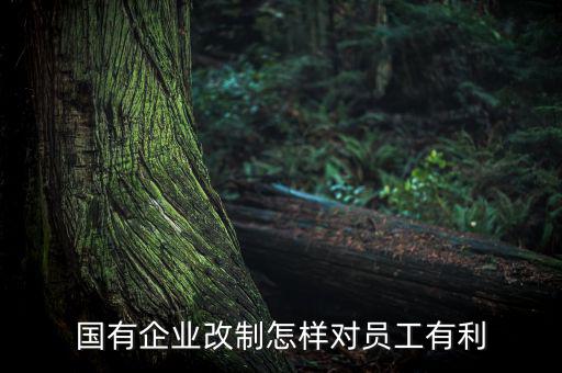 國有企業(yè)改制怎樣對(duì)員工有利