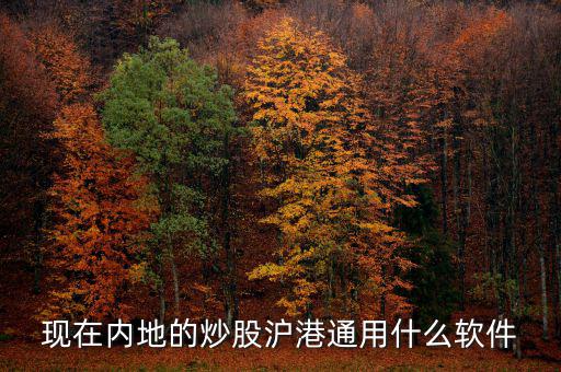 內(nèi)地炒港股用什么軟件，現(xiàn)在內(nèi)地的炒股滬港通用什么軟件