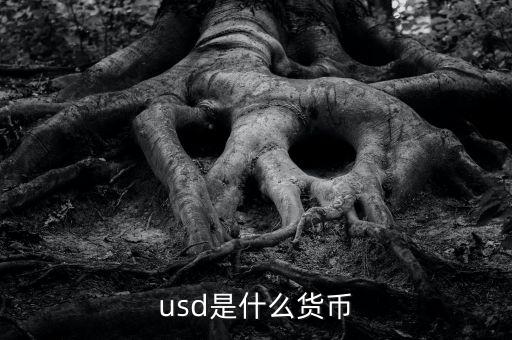 usd什么貨幣，什么是USD