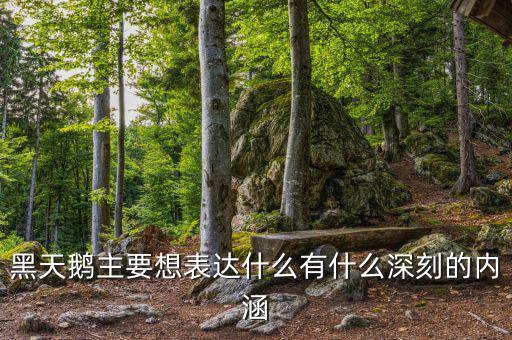 黑天鵝書說的是什么，黑天鵝主要想表達(dá)什么有什么深刻的內(nèi)涵