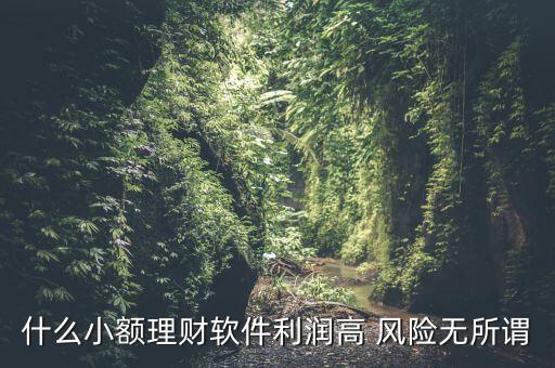 什么小額理財最安全，什么小額理財軟件利潤高 風(fēng)險無所謂