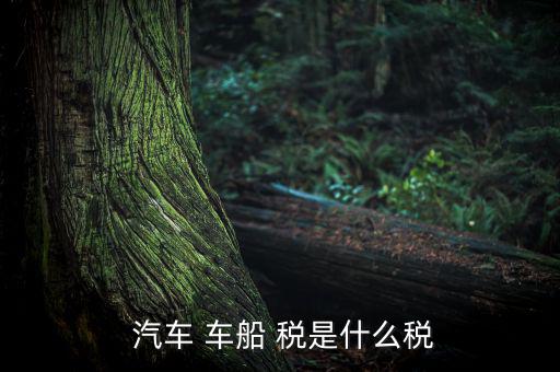 汽車車船稅是怎么樣,車船稅是對車輛、船舶征收的稅