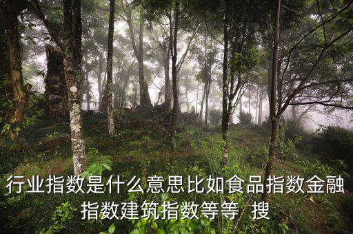 申萬行業(yè)指數(shù)是什么，申萬證券行業(yè)指數(shù)分級是什么指數(shù)基金嗎