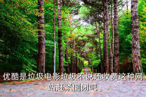 為什么youtube上的電影都要收費(fèi)，優(yōu)酷是垃圾電影垃圾不說(shuō)還收費(fèi)這種網(wǎng)站趕緊倒閉吧