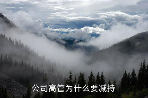 減持套現(xiàn)干什么，公司高管為什么要減持