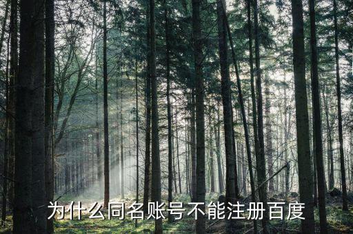 什么是同名賬戶，神武游戲說存在同名賬號是什么意思