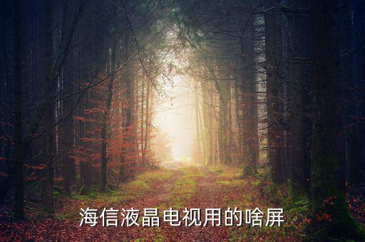 海信電視都是用什么屏，海信液晶電視都是用的什么屏