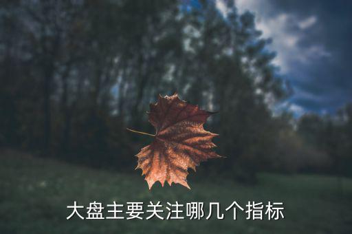 股市大盤關(guān)注什么指數(shù)，大家看大盤走勢(shì)都是看的哪個(gè)指數(shù)