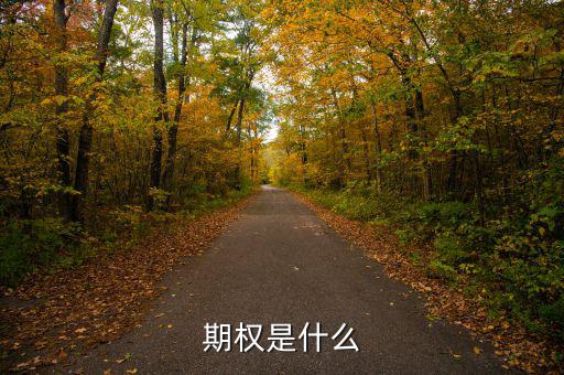 股票期權(quán)是什么，期權(quán)和股權(quán)有什么本質(zhì)區(qū)別嗎