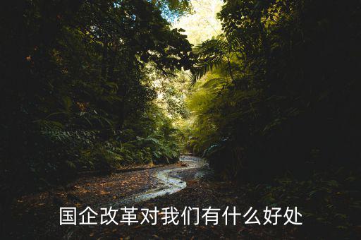 國(guó)企改革有什么紅利，國(guó)企改革對(duì)我們有什么好處