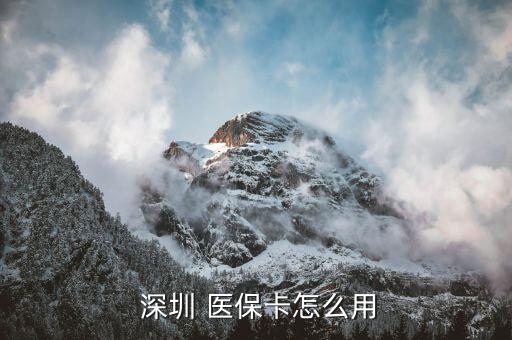深圳農民工醫(yī)保怎么用,深圳醫(yī)?？ò≡横t(yī)療費用