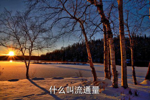什么是流通卡量，什么叫流通量