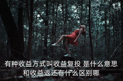 按月復(fù)投是什么意思，本息復(fù)投是什么意思