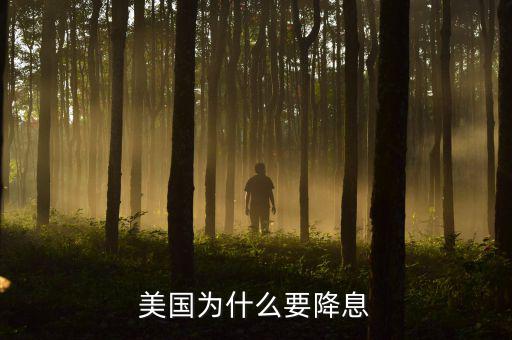 美國(guó)為什么要加息，美國(guó)為什么加息還會(huì)加息嗎