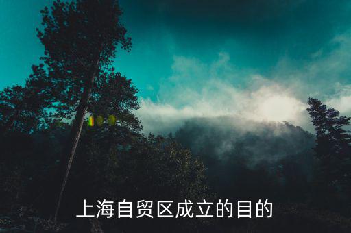為什么建立上海自貿(mào)區(qū)，上海自貿(mào)區(qū)成立的目的