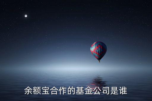 余額寶投資過(guò)什么公司，余額寶合作的基金公司是誰(shuí)