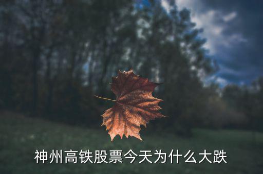 神洲高鐵為什么暴跌，神州高鐵為什么跌31