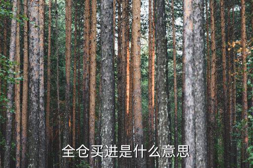 全倉買入是什么意思，掛高全倉買入什么意思