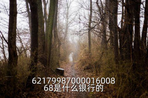 中債資信屬于什么銀行，6217998700001600868是什么銀行的