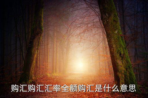 全額匯購是什么意思，什么叫全額結(jié)匯