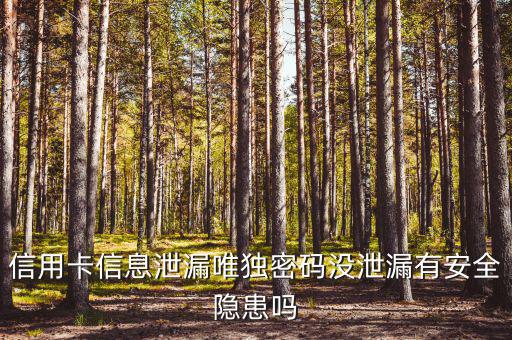 信用卡信息泄露有什么風(fēng)險(xiǎn)，信用卡信息泄漏唯獨(dú)密碼沒泄漏有安全隱患嗎