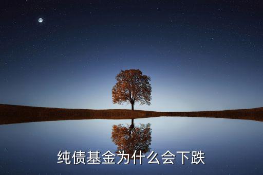 為什么純債基也會(huì)下跌，純債基金為什么會(huì)下跌