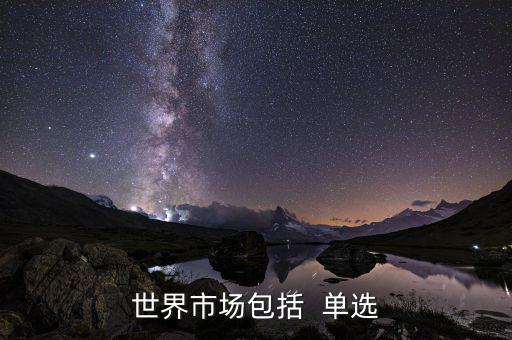 世界市場包括什么，世界上分哪些市場