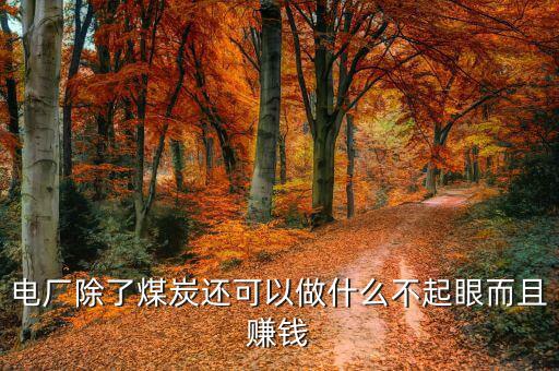 電廠什么項目賺錢，電廠除了煤炭還可以做什么不起眼而且賺錢