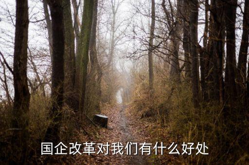 國企改革對(duì)我們有什么好處