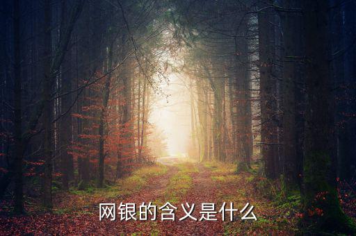 網(wǎng)銀存入代表什么意思，網(wǎng)銀的含義是什么
