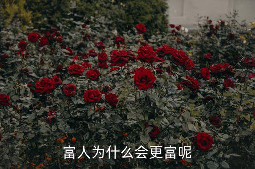 富人為什么越來越富，為什么富人越來越富