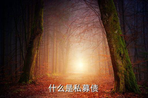 什么是小貸公司私募債，什么是私募債