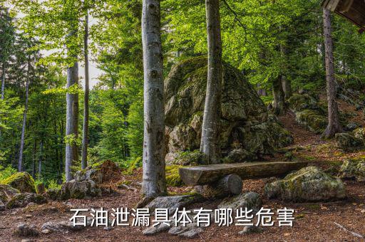 原油泄漏影響什么部門，石油泄漏具體有哪些危害