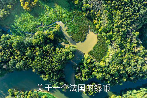 銀元什么是普品，關于一個法國的銀幣